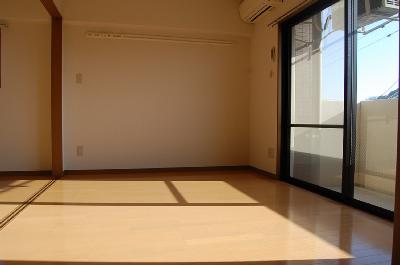 Other room space. Western style room