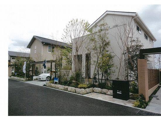 Local photos, including front road