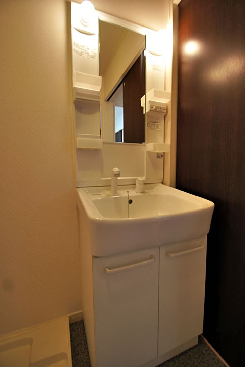 Washroom. Shampoo dresser