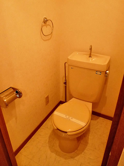 Toilet