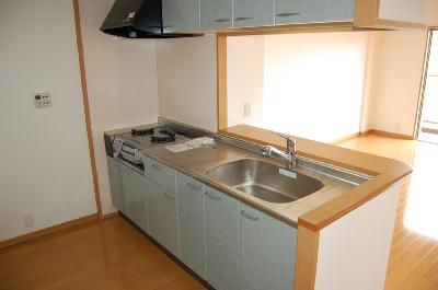 Kitchen. Diverted taken between other