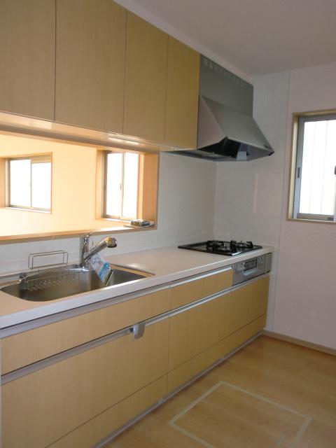 Kitchen. Bright face-to-face kitchen