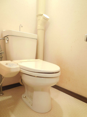 Other room space. Clean toilet