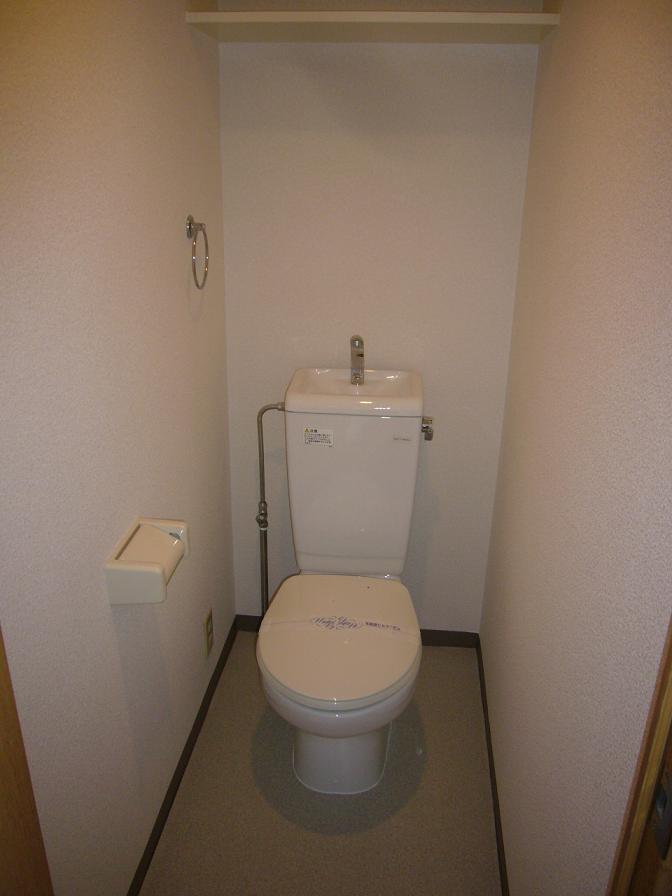 Toilet. Clean toilet