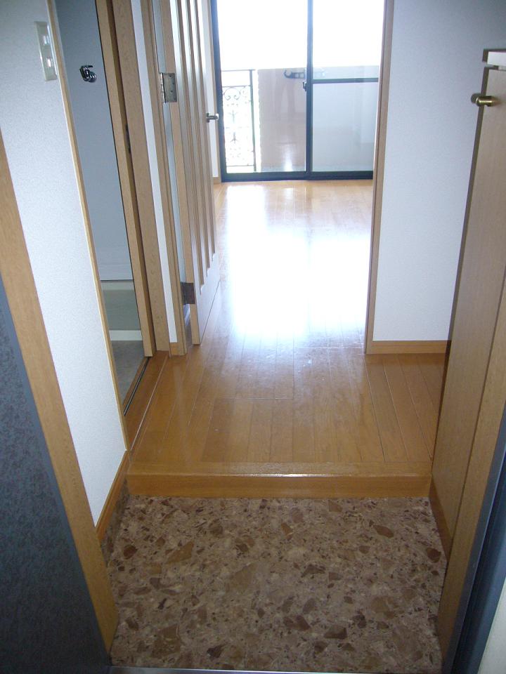 Entrance. Big entrance of shoebox