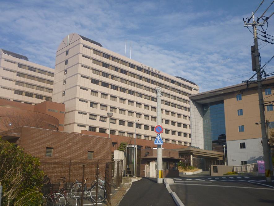 Other. Kyushu Sangyo University 370m up to the main gate (Other)