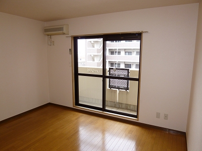 Living and room. Living