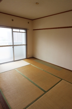 Other room space. Japanese style room