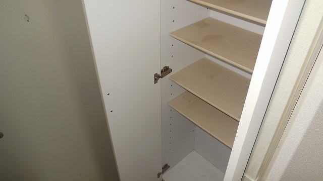 Other room space. Plenty entrance storage