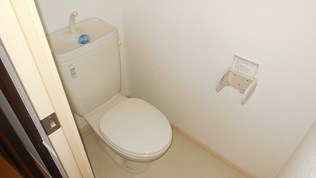 Other room space. Toilet with cleanliness