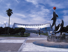 Other Environmental Photo. 2500m to Marine World