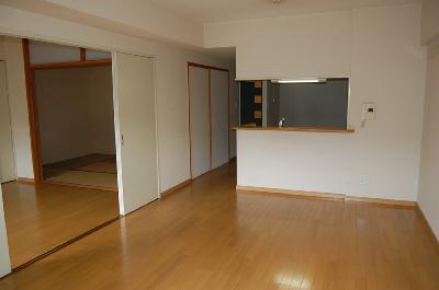 Living and room. Living (isomorphic photo)