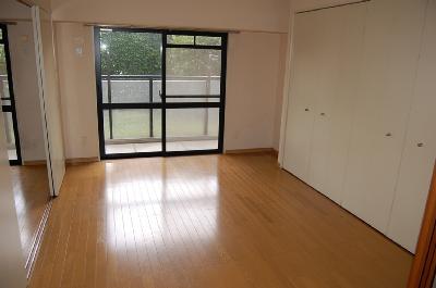 Entrance. Western-style (isomorphic photo)