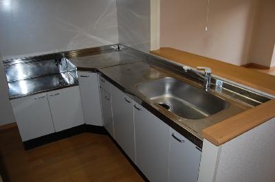 Kitchen. Kitchen (isomorphic photo)