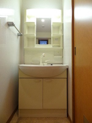 Washroom. Wash basin