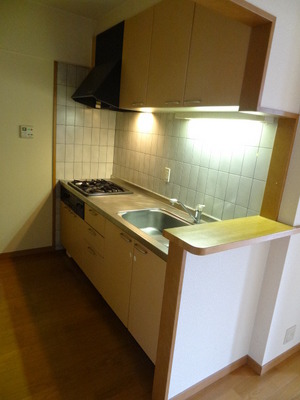 Kitchen. System kitchen