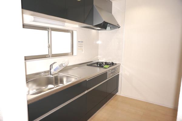 Kitchen. Indoor (12 May 2013) Shooting