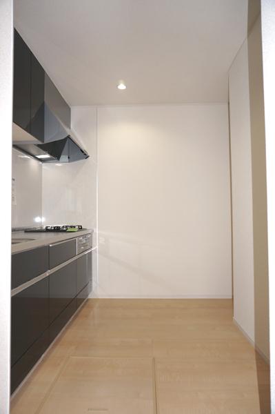 Kitchen. Indoor (12 May 2013) Shooting