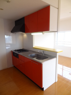 Kitchen. System kitchen