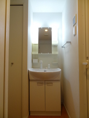 Washroom. Wash basin