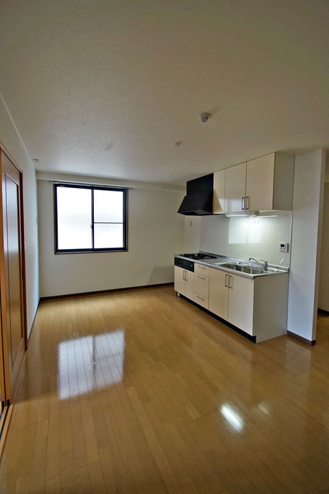 Living and room. LDK