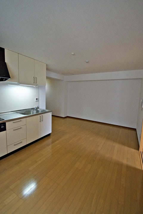 Living and room. LDK