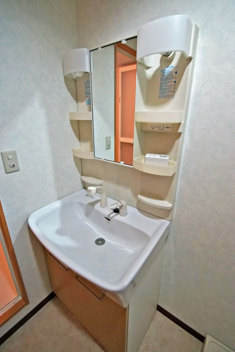 Washroom. Shampoo dresser