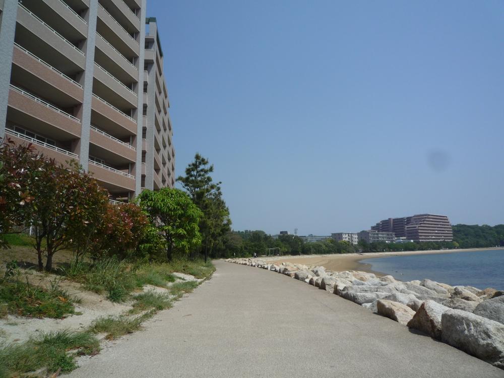 Other.  ◆ Local surrounding environment ◆