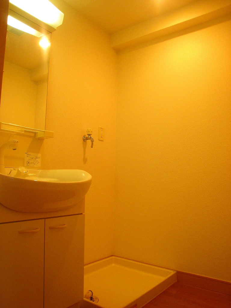 Washroom. Shampoo dresser of glad equipment