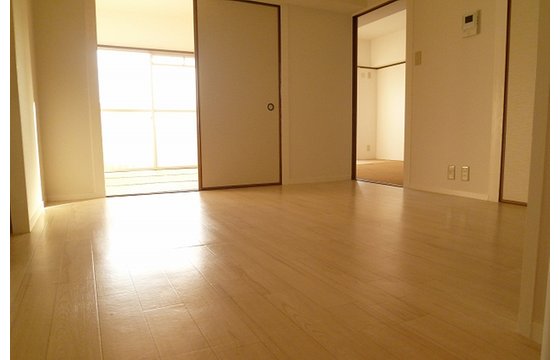 Living and room. Living