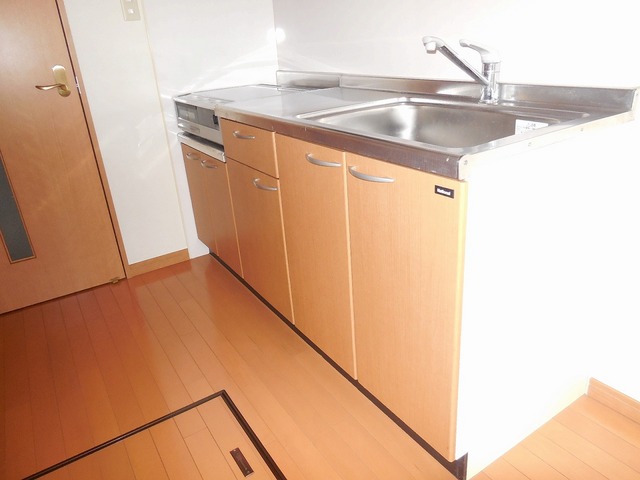 Kitchen. Mansion with under-floor storage