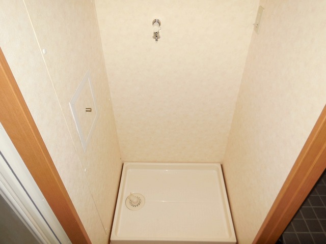 Other room space. Washing machine in the room