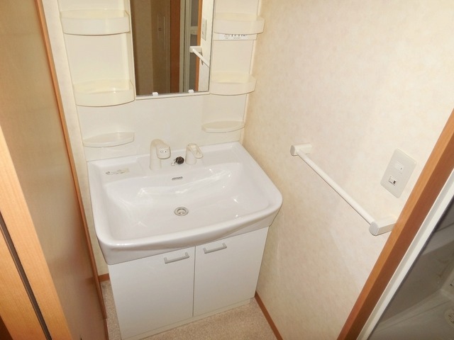 Other room space. Wash basin is with Shandore