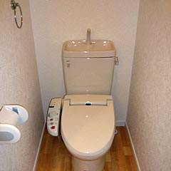 Toilet