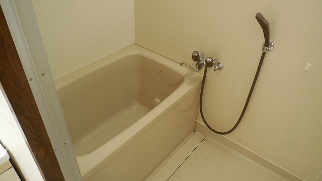 Bath. Large bathroom