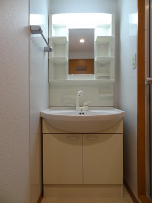 Washroom. Wash basin