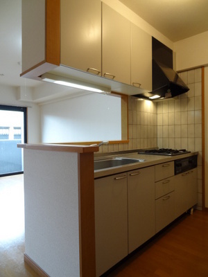 Kitchen. System kitchen