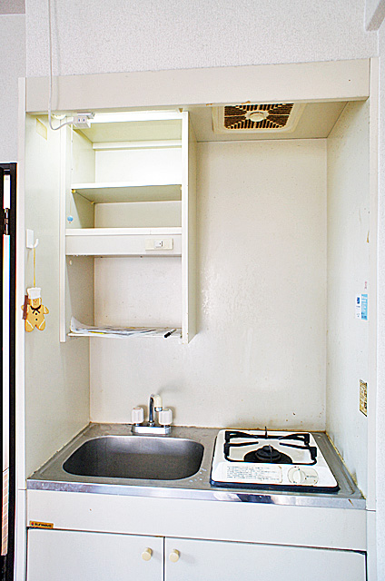 Kitchen. Gas stove with kitchen