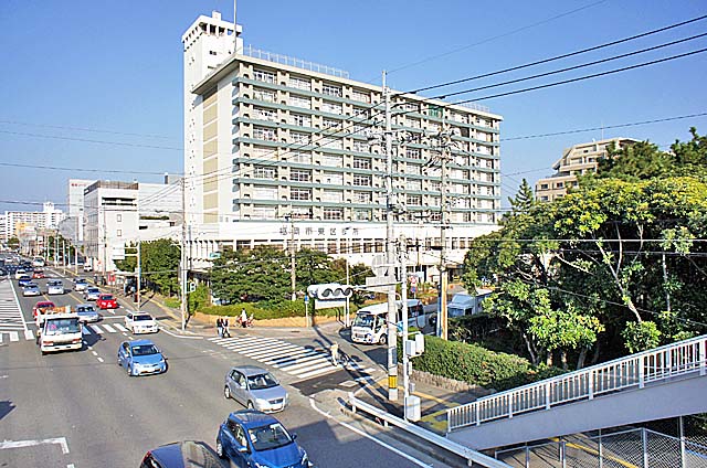 Government office. 250m to the east ward office (government office)