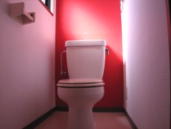 Other. Toilet fashionable