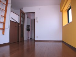 Living and room. Mosquitoes, The wall is yellow