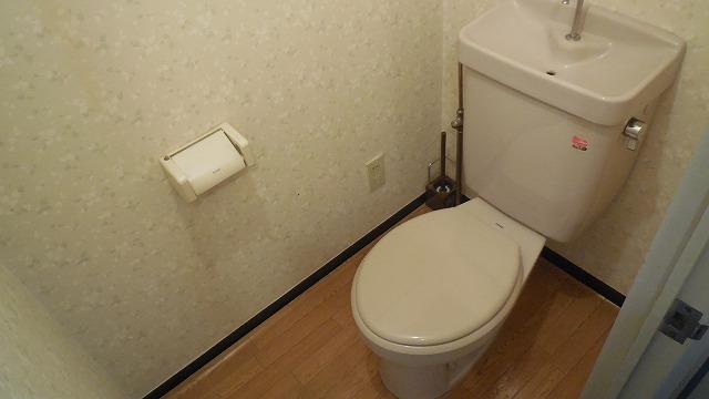 Toilet. Toilet with cleanliness