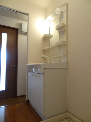 Washroom. Wash basin