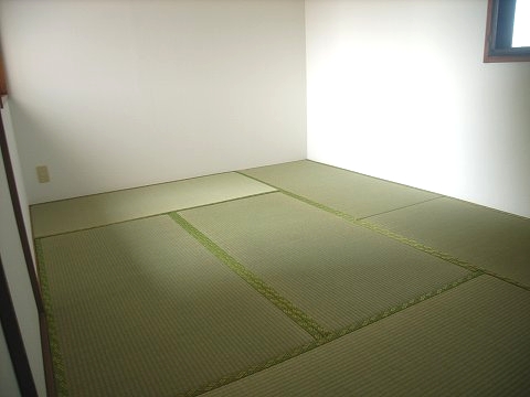 Other room space. Japanese style room