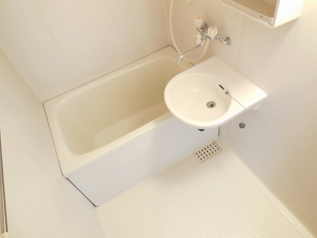 Bath. Beautiful bathroom