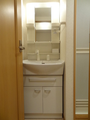 Washroom. Wash basin