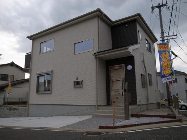 Local appearance photo. Local shooting (10 May 2013)