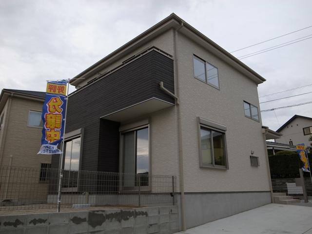 Local appearance photo. Local shooting (10 May 2013)