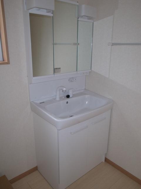 Wash basin, toilet. Local shooting (10 May 2013)