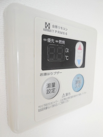 Other room space. Even hot water temperature adjustment (digital)